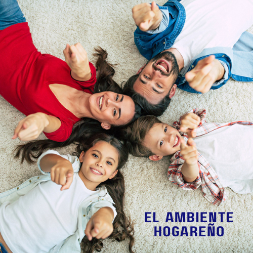 El ambiente hogareño – Serie